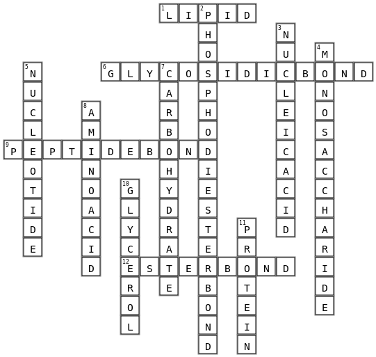 BC Intro puzzle Crossword Key Image