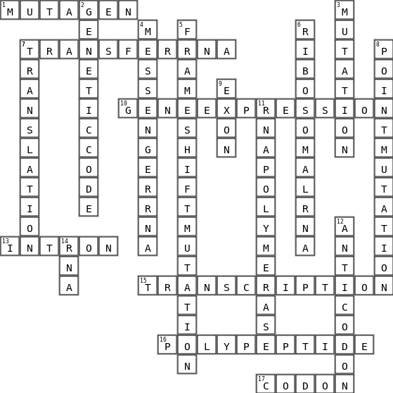 Chapter 13 Crossword Key Image