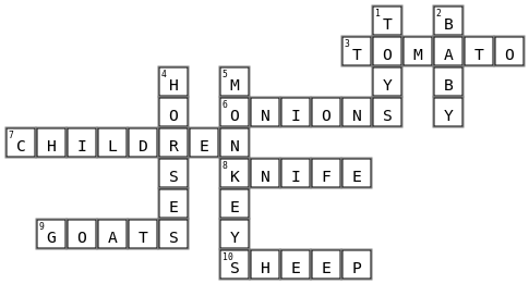 SIngular and Plural nouns Crossword Key Image