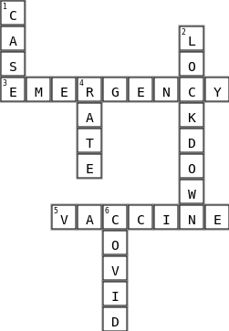covid Crossword Key Image