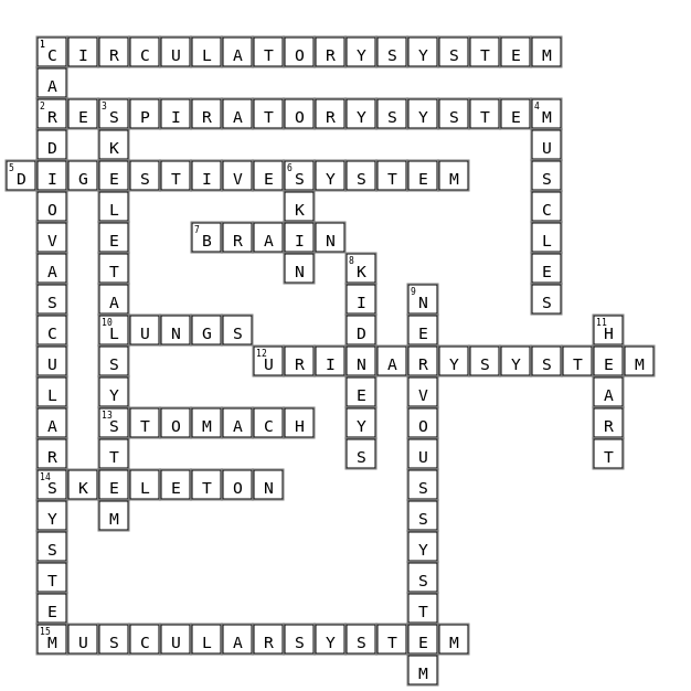 body organs and system Crossword Key Image