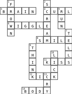 My Brain Crossword Key Image