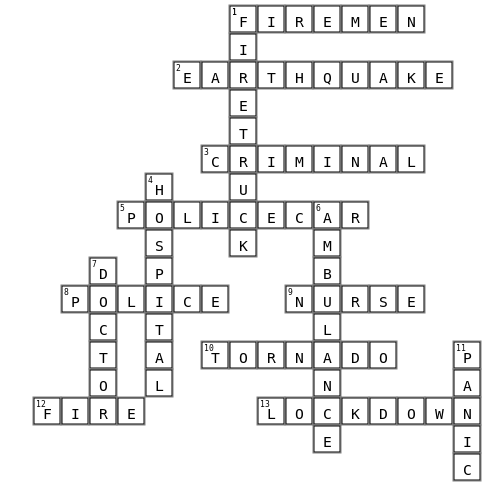 Emergency Situations Crossword Key Image