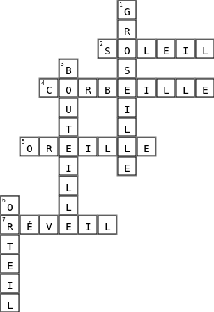Son eil Crossword Key Image