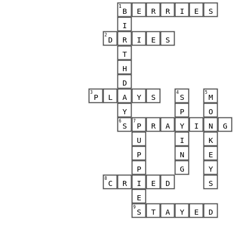 spelling list 9 Crossword Key Image