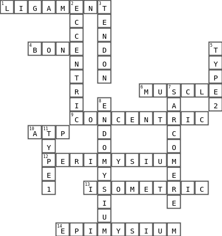 Skeletal Crossword Crossword Key Image