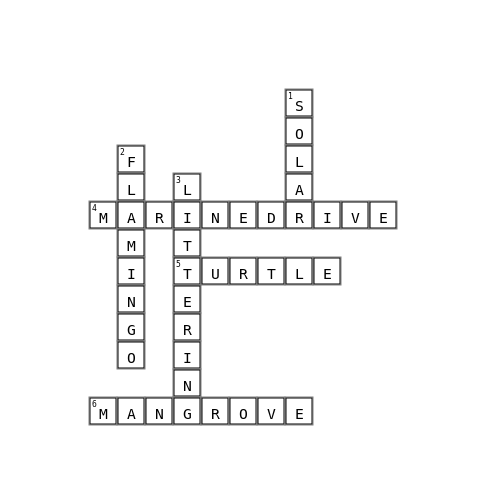 EVS Crossword Key Image