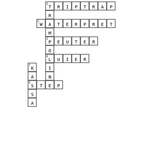 thijs Crossword Key Image
