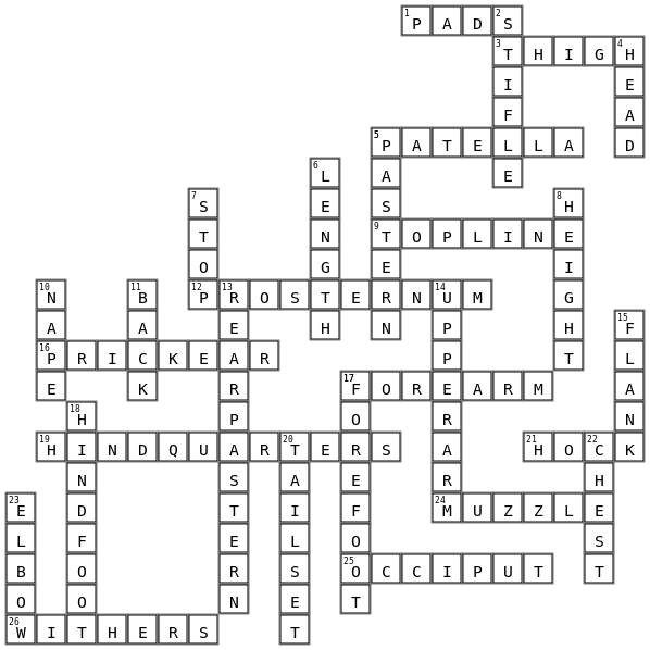 Dog Anatomy Crossword Key Image