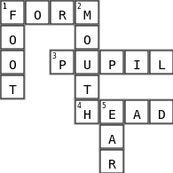 body vocabulary Crossword Key Image
