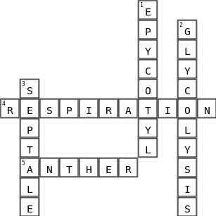portfolio crossword Crossword Key Image