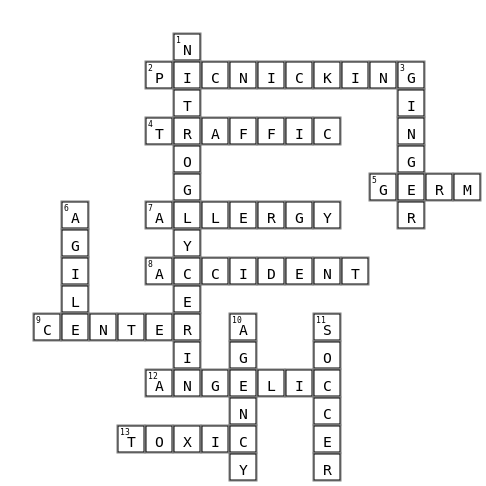 Soft g and c Crossword Key Image