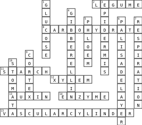 Science 601 Crossword Key Image