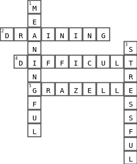 Week8 - Crossword puzzle Crossword Key Image