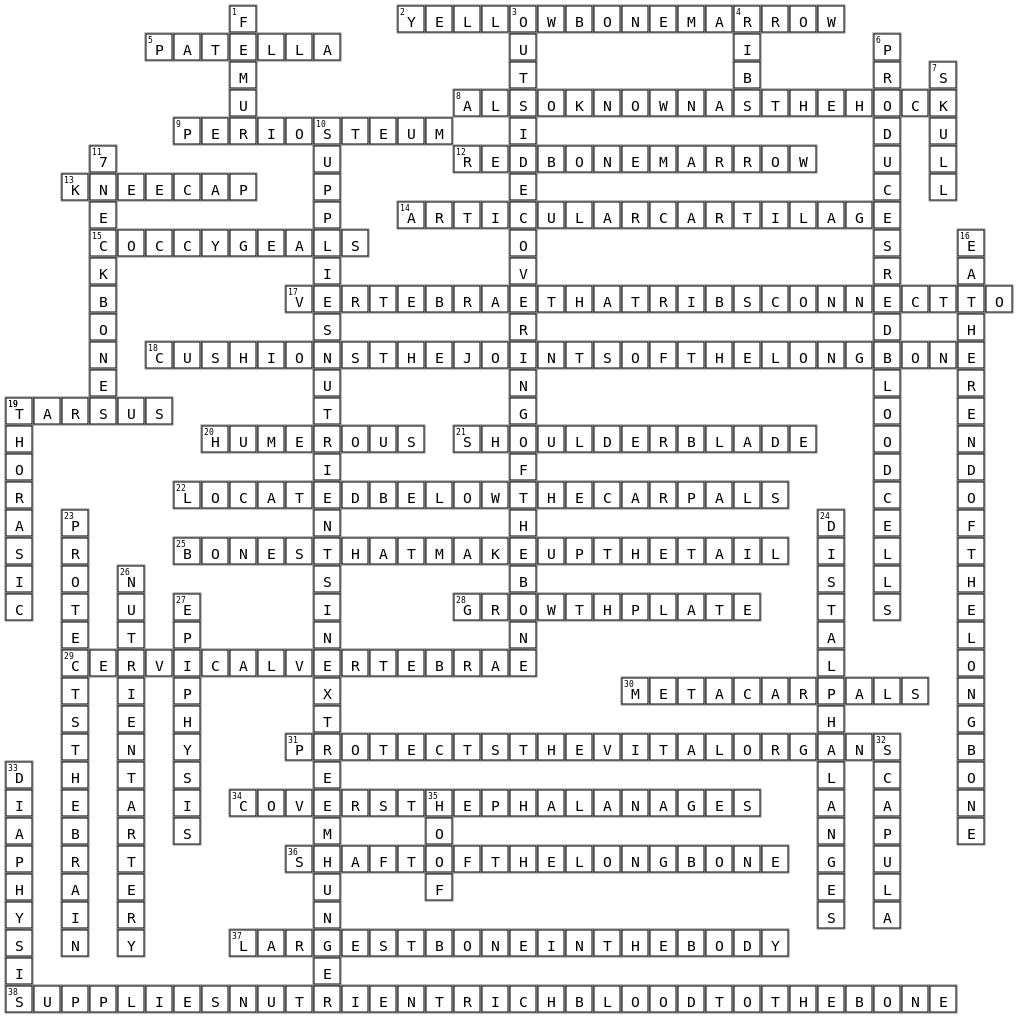 Skelatal system Crossword Key Image
