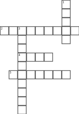 SS Crossword Grid Image