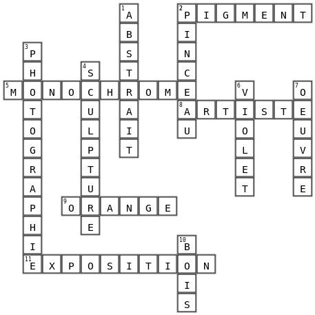 Primaire Crossword Key Image