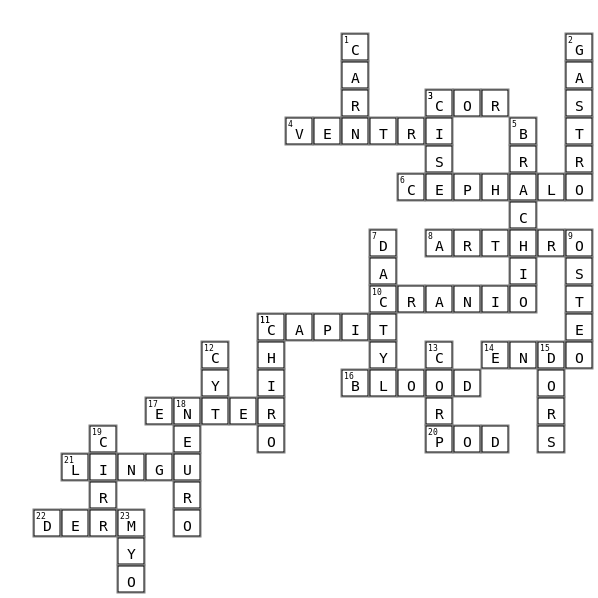 Roots and Stems List 7 Crossword Key Image