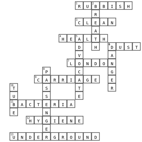 underground Crossword Key Image